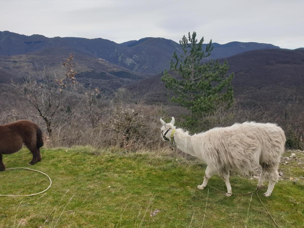 Arre Maison Au Pied Du Parc National Des Cevennes 빌라 외부 사진